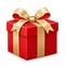 Mystery Christmas Gift